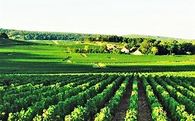 Domaine Pont Juillet